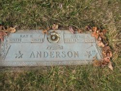 Ray Eugene Anderson 