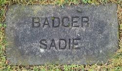 Sarah “Sadie” <I>Dafoe</I> Badger 