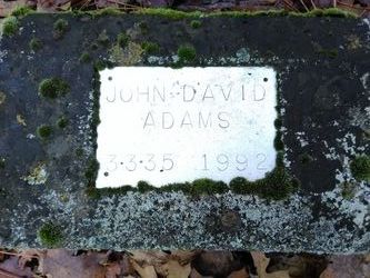 John David Adams 