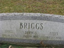 Joyce Marie Briggs 