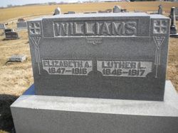 Luther L. Williams 