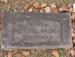Rose <I>Walker</I> Sparkman 