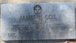 James Harvey Cox 