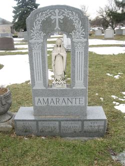 Angelo J. Amarante 