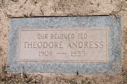 Theodore R Andress 
