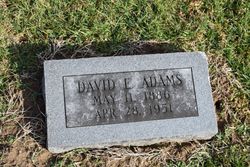 David Elzy Adams 