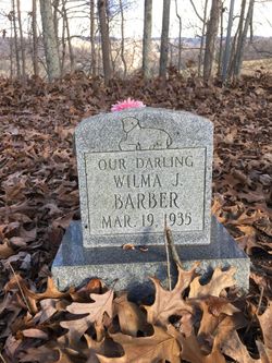 Wilma J Barber 