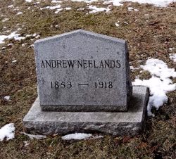 Andrew Neelands 