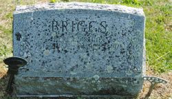 Albert Erastus “Bert” Briggs 