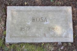 Rosa <I>Popp</I> Plischke 