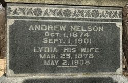Lydia Ann <I>Holmes</I> Nelson 