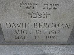 David Bergman 