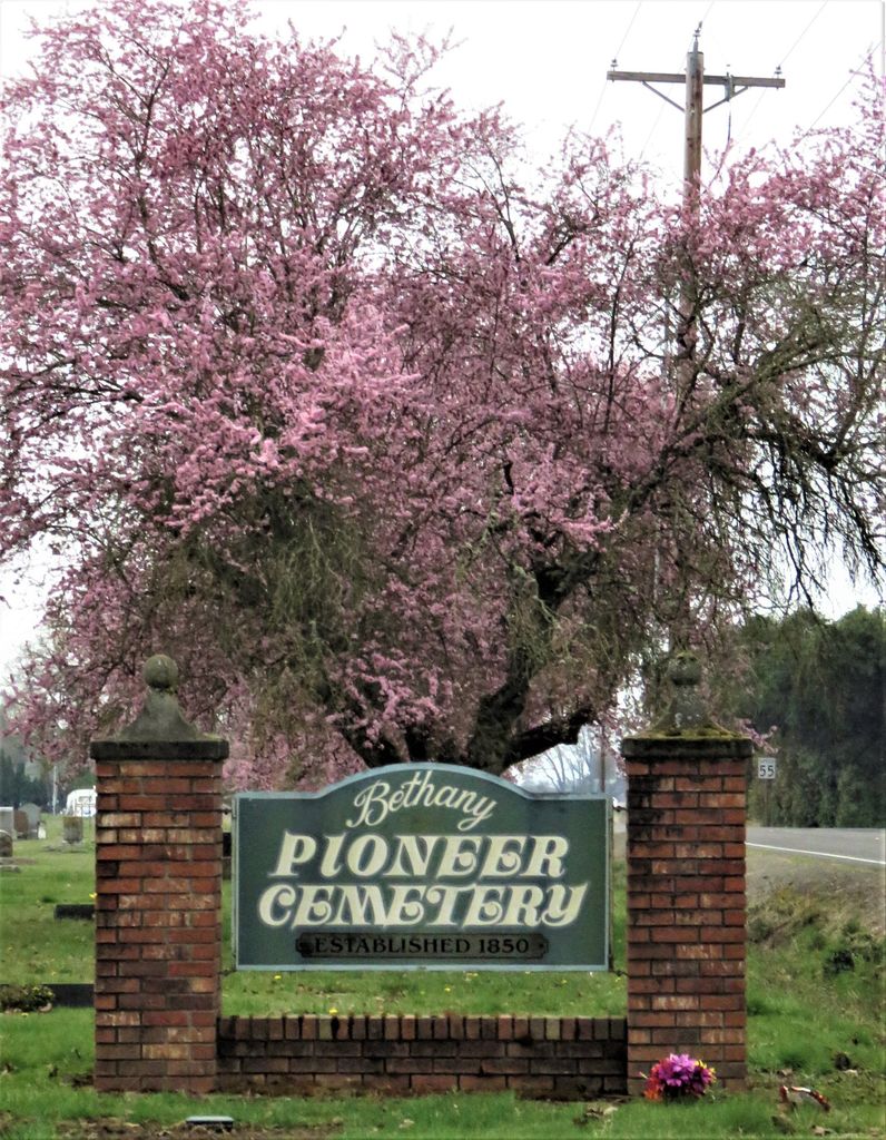Bethany Pioneer Cemetery