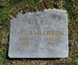 Arlena Anderson 