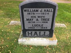 William J Hall 