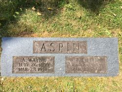 Arthur Wayne Aspin 