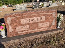 Fayette Elmer Fowler 