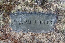 William Johnson Breed 