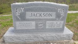 Harry W Jackson Jr.