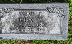 Sarah Ellen <I>Clifton</I> Brixey 