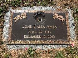 June <I>Cales</I> Ames 