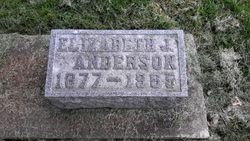 Elizabeth <I>Anderson</I> Johnson 