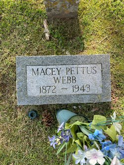 Macey Pettus Webb 