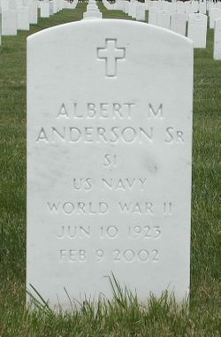 Albert M Anderson Sr.