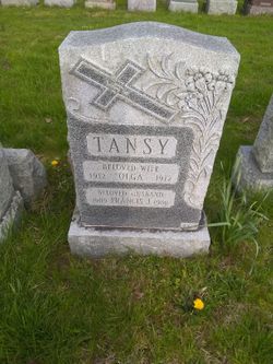 Francis J Tansy 