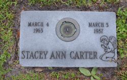 Stacy Ann Carter 