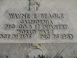 Wayne Elwood Beagle 