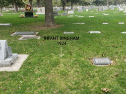 Infant Bingham 