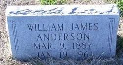William James Anderson 
