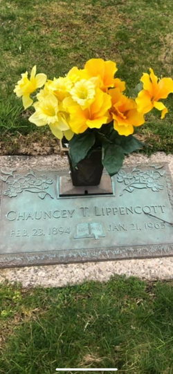 Chauncey Thomas Lippencott 