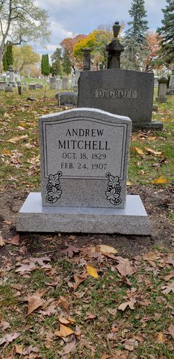 Andrew Mitchell 
