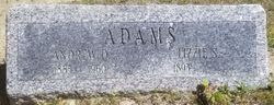 Andrew D Adams 
