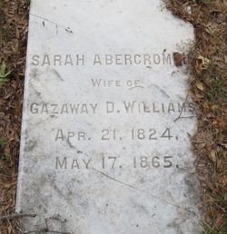 Sarah E <I>Abercrombie</I> Williams 