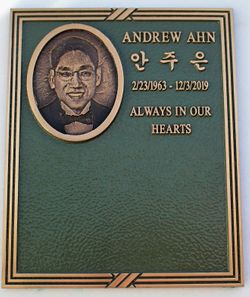 Andrew Ahn 