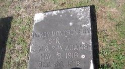 Quincy Montgomery Adams 