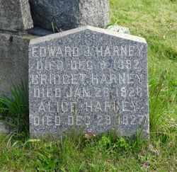 Edward J. Harney 