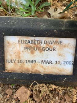 Elizabeth Dianne <I>Prout</I> Gour 
