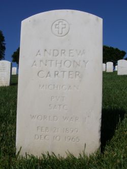 Andrew Anthony Carter 