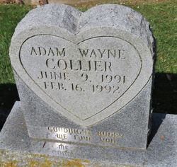 Adam Wayne Collier 