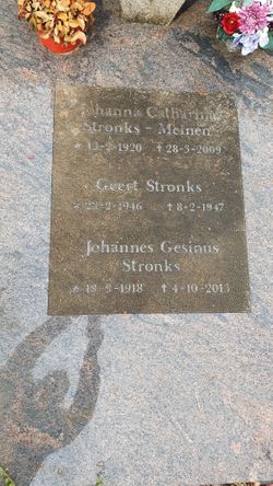 Johannes Gesinus Stronks 