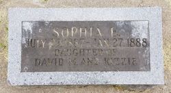 Sophia E. Perkins 
