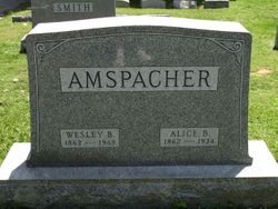 Alice B. <I>Smith</I> Amspacher 