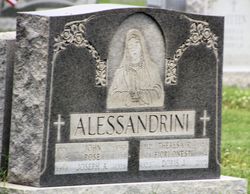 Rose <I>Alessandroni</I> Alessandrini 