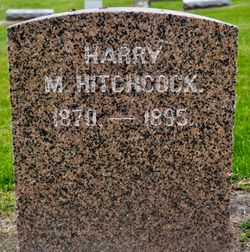 Harry M Hitchcock 