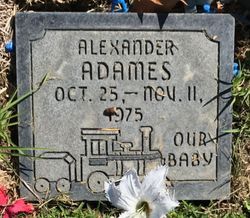 Alexander Adames 
