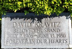 David Kravitz 